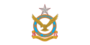 Untitled-1_0078_Pakistan_Air_Force_Logo_(Official).png